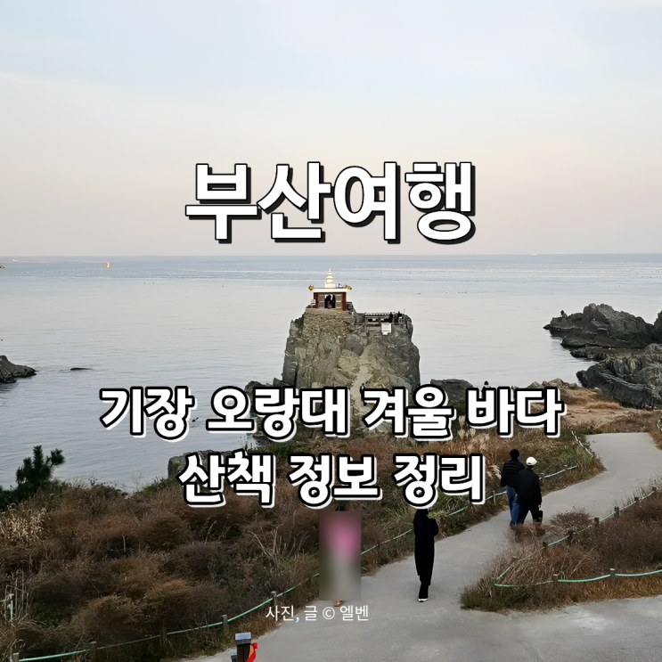  부산겨울 가볼만한곳 오랑대 방문기｜기장 바다 산책·새해 일출 명소 총정리
