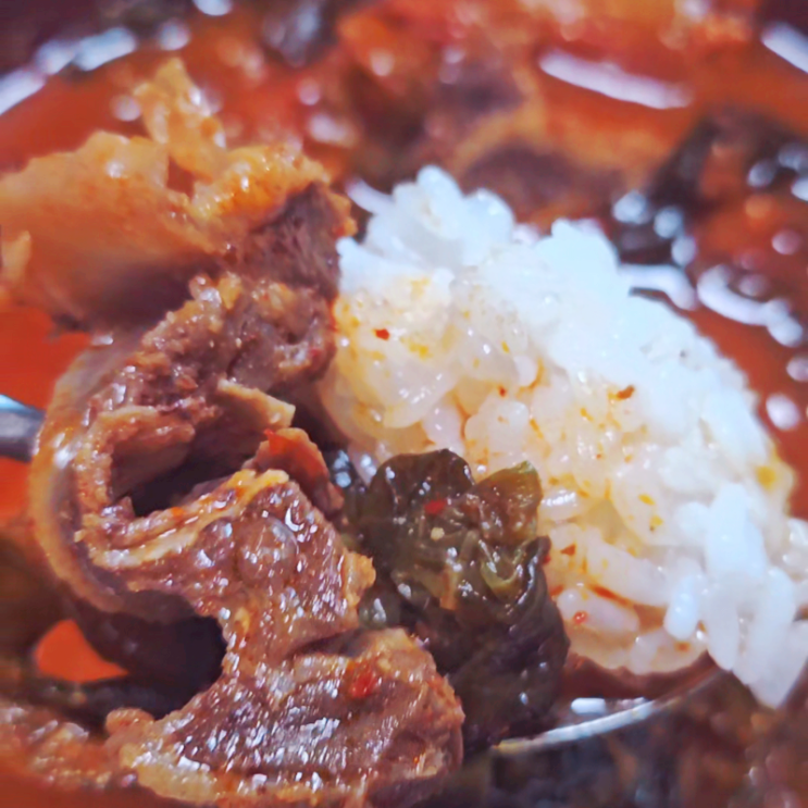  찬바람 불 땐 얼큰한 국물요리, 해와바다 우거지 갈비탕 솔직 후기 (해장추천)