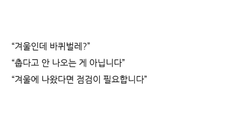 ❄️ 겨울인데도 바퀴벌레가 나오는 집의 공통점 “춥다고 안 나오는 게 아닙니다”