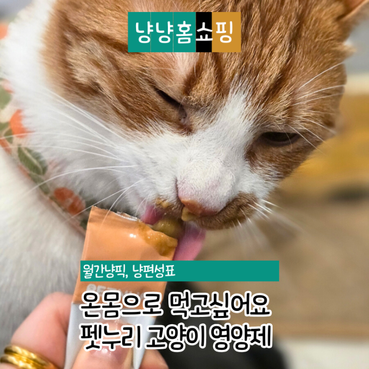  펫누리 고양이 영양제 간식처럼 츄르로 먹는 뉴트리션플랜 O