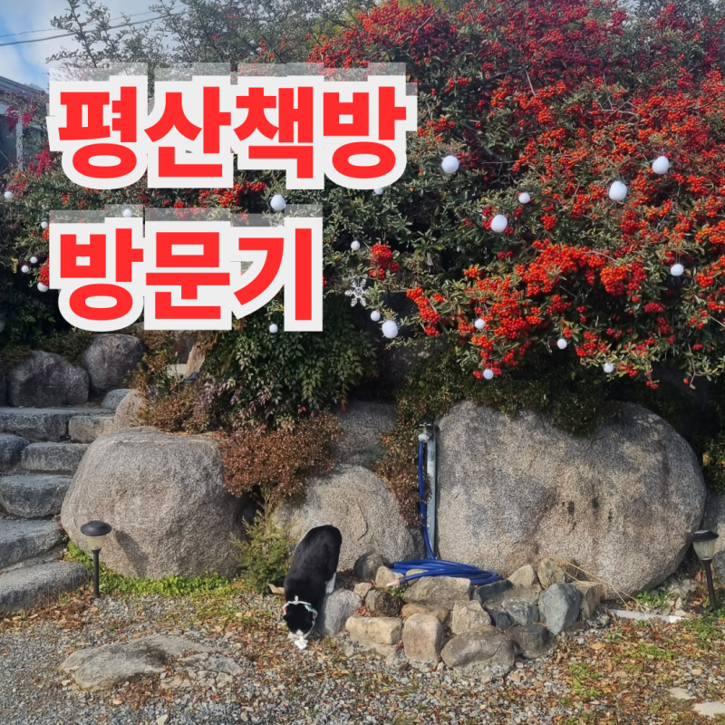 평산책방 방문기 - 문재인 전 대통령 운영 책방