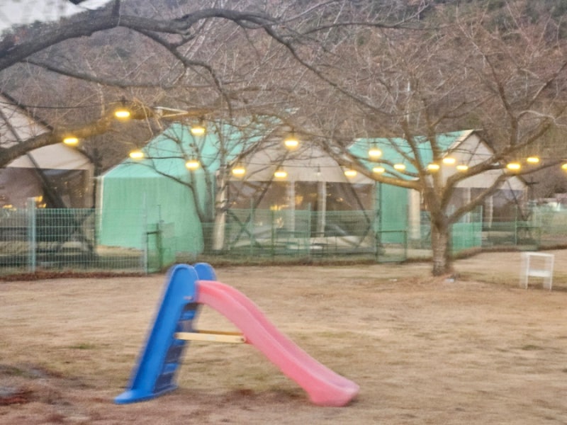 사진 4