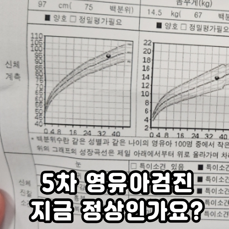  5차 영유아검진 문진표 36개월 아기 발달 지금 정상인가요