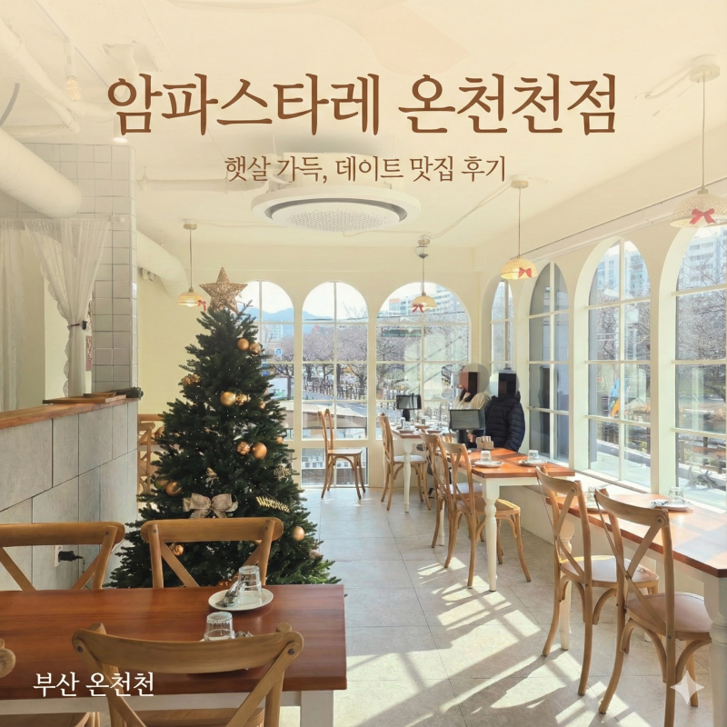 사진 5