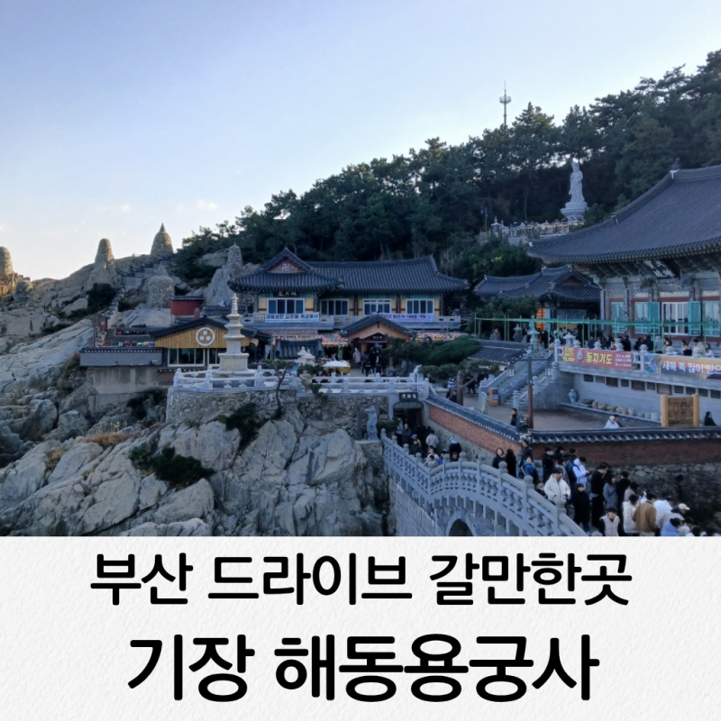 부산 드라이브 갈만한곳 해동용궁사 주차장 해돋이 명소