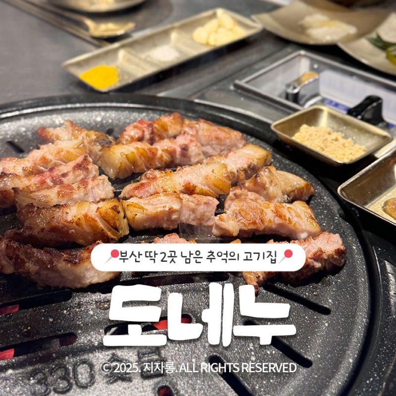 사진 5