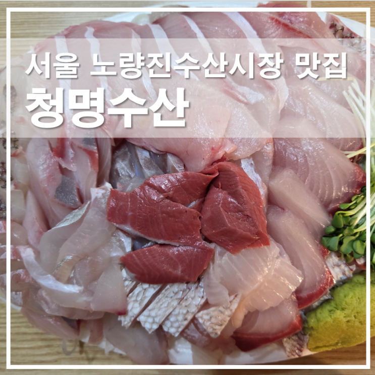  서울 노량진 수산시장 맛집 청명수산 겨울 제철 모듬회 세트 구성