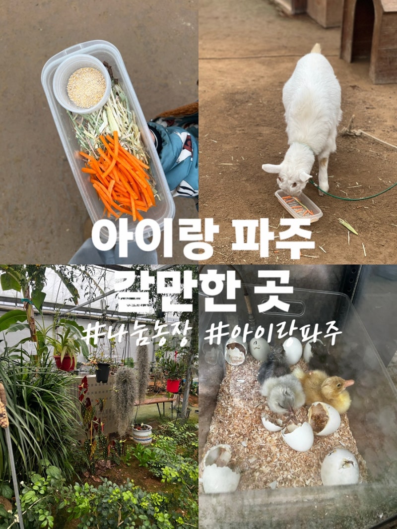 아이랑 갈만한 곳 파주 나눔농장 운영시간 입장료
