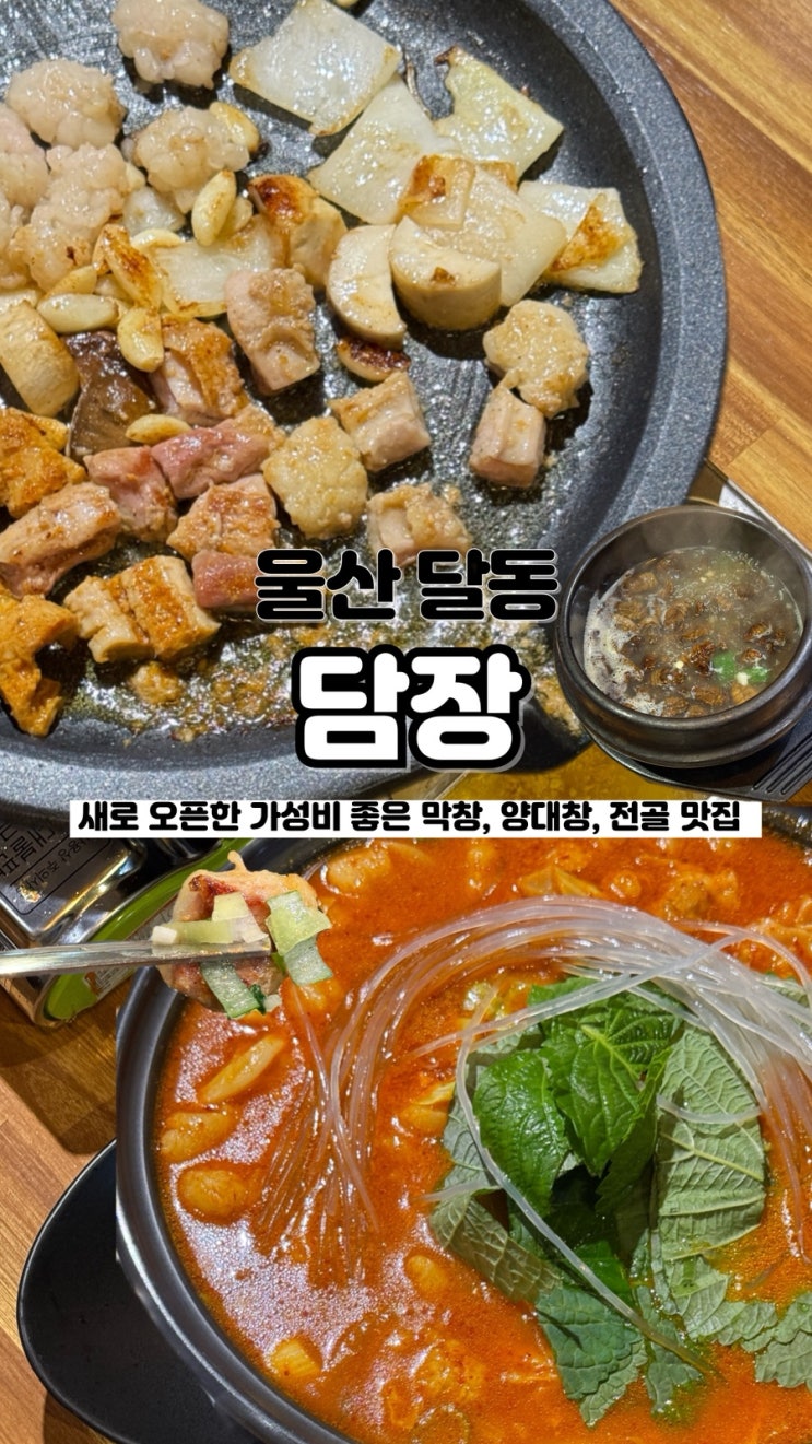  뜨끈한 전골에 소주 한 잔이면 온몸이 녹는 울산 신상맛집 달동곱창전골 담장