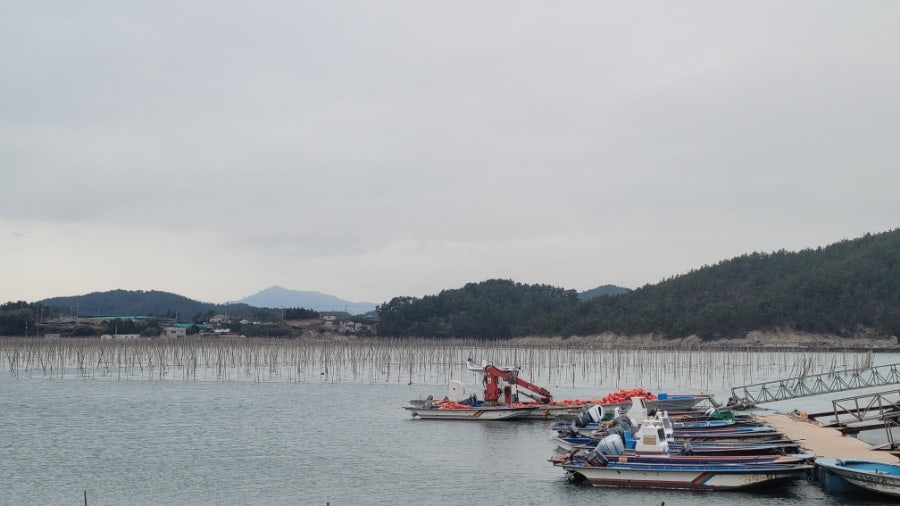 콩냥콩냥 사진 1