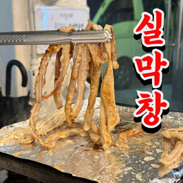  대전에서 유일한 실막창 새로나식당 솔직 후기 (월평동 막창)