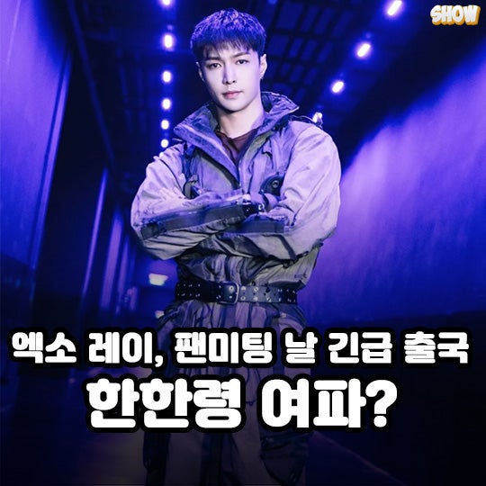 엑소 레이, 팬미팅 불참 "불가피한 결정" 한한령 여파? 수호·찬열·디오·카이·세훈 무대 오....