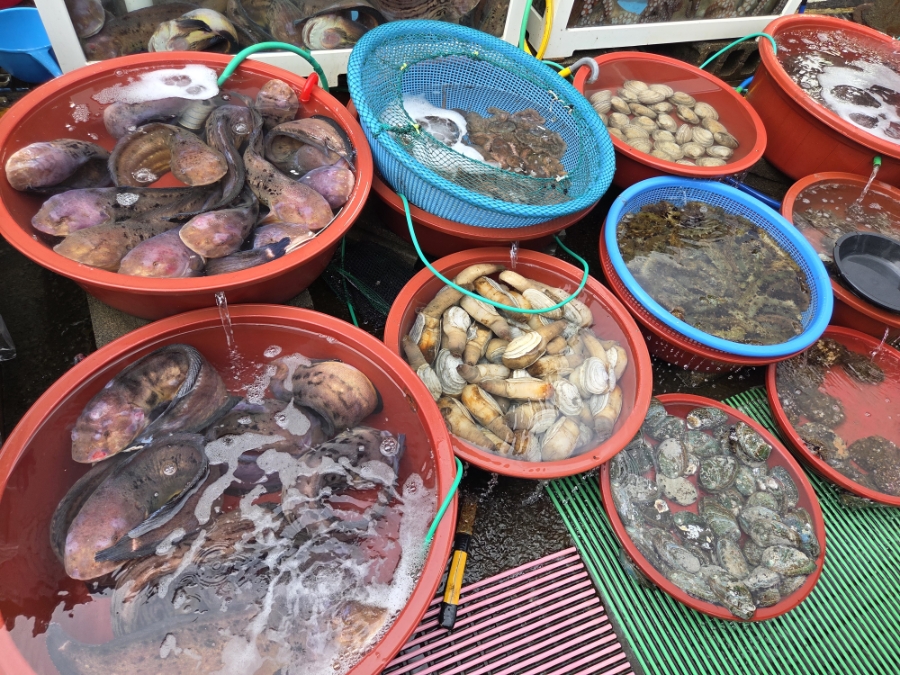 도선장횟집 사진 1