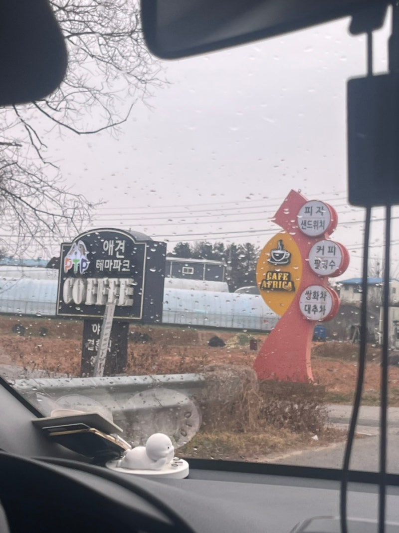 사진 5