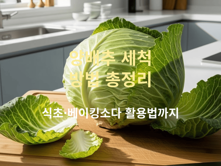  양배추 세척 방법 총정리: 식초·베이킹소다 활용법까지