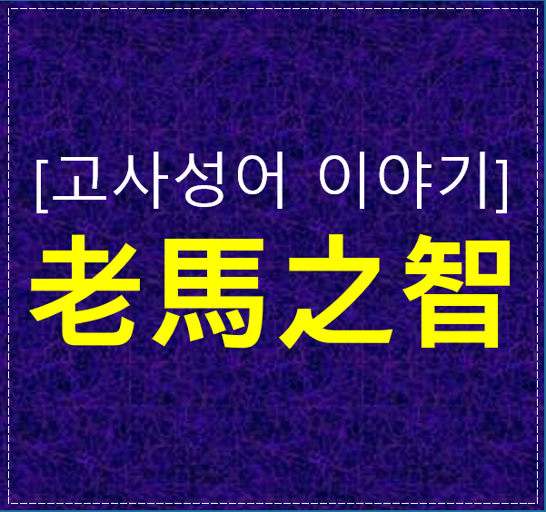 노마지지 뜻과 유래｜경험이 지혜가 되는 사자성어