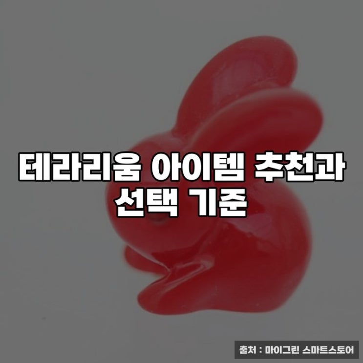  테라리움 아이템 추천과 선택 기준