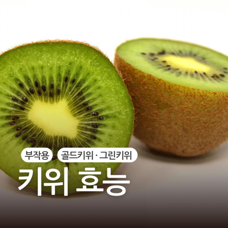 키위 효능 부작용 그린키위 vs 골드키위 효능 차이점까지