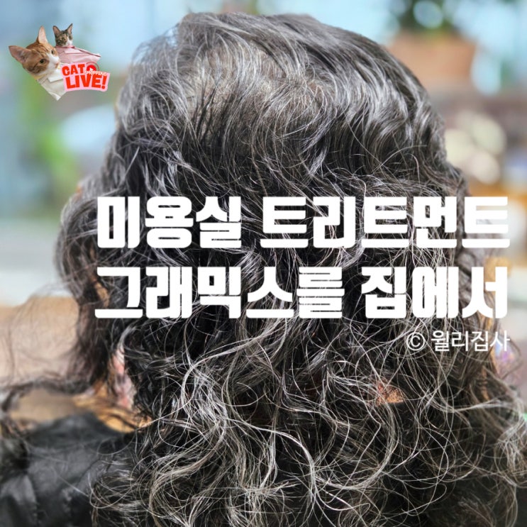  미용실 트리트먼트 추천 손상모관리는 그래믹스