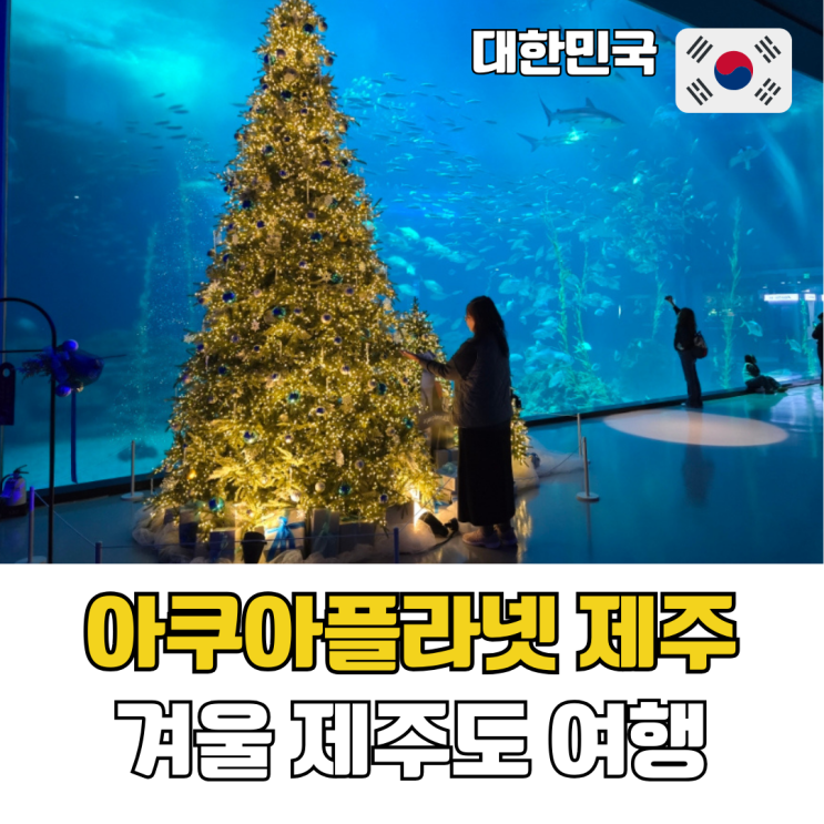  겨울 제주도 여행 동쪽 코스 아쿠아플라넷 제주 실내 가볼만한곳 정리