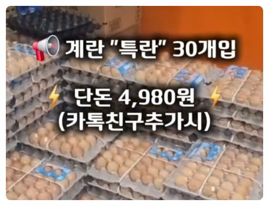  곤지암 도매콜 방문 가이드 역대급 할인 득템 꿀팁 주차 영업시간 총정리