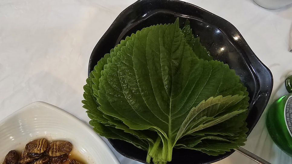 물꼬기회나라 사진 5