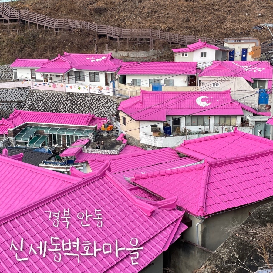 그림애 사진 1