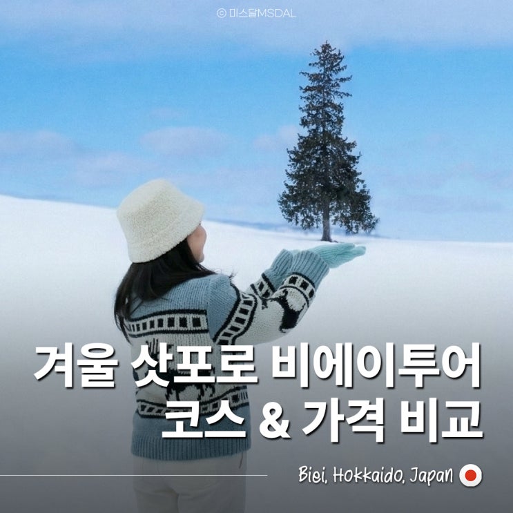  삿포로 비에이 버스투어 비교 12월 1월 2월 겨울 코스 & 가격 총정리 :: 인디고트래블, 엔데이트립, 여행 한 그릇, 흰그림자투어