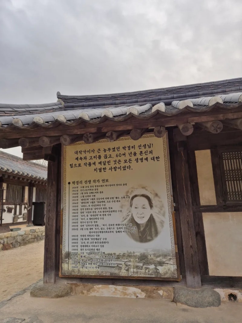 사진 9