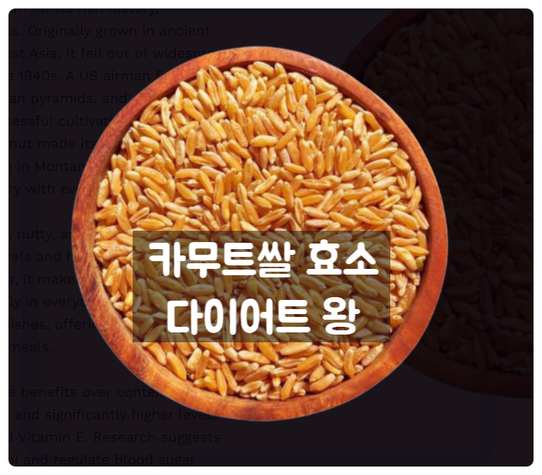 카뮤트효소, 5가지 효능이 뭐길래 요즘대박
