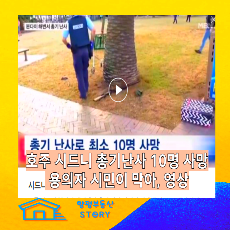 <b>시드니</b> 본다이비치 <b>해변</b> 유대인 하누카 행사중 무차별 <b>총격</b>... 