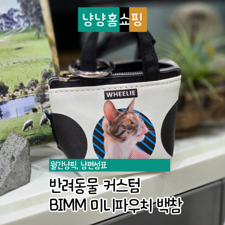  반려동물 커스텀 제작 BIMM 미니파우치 백참 재밌는 선물 추천