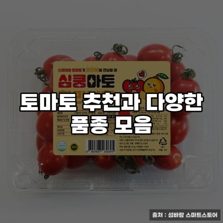  토마토 추천과 다양한 품종 모음