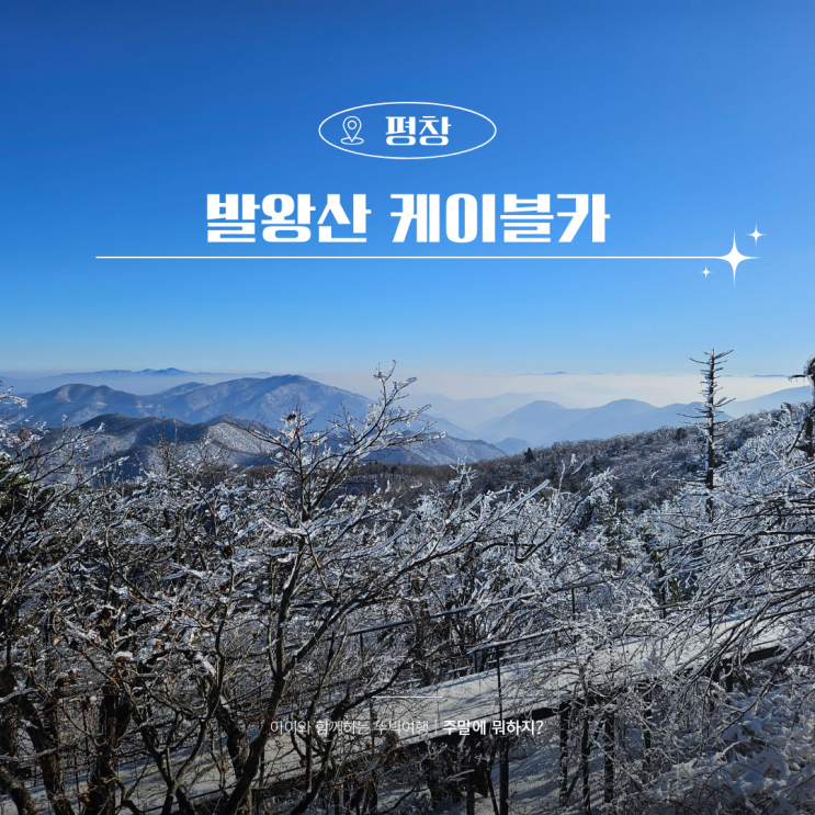  평창 가볼만한곳 모나용평 발왕산 케이블카 할인 천년주목숲길