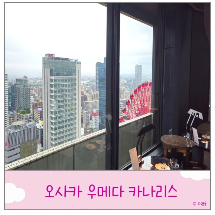  오사카 우메다 프렌치 코스요리 카나리스 현지인 맛집