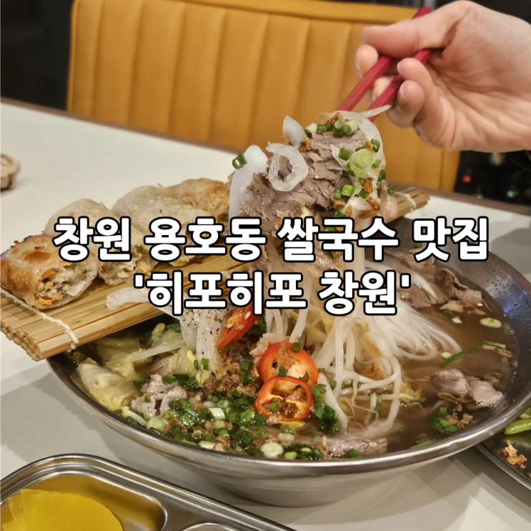  창원 용호동 쌀국수 맛집 '히포히포 창원' | 창원 가로수길 신상 맛집