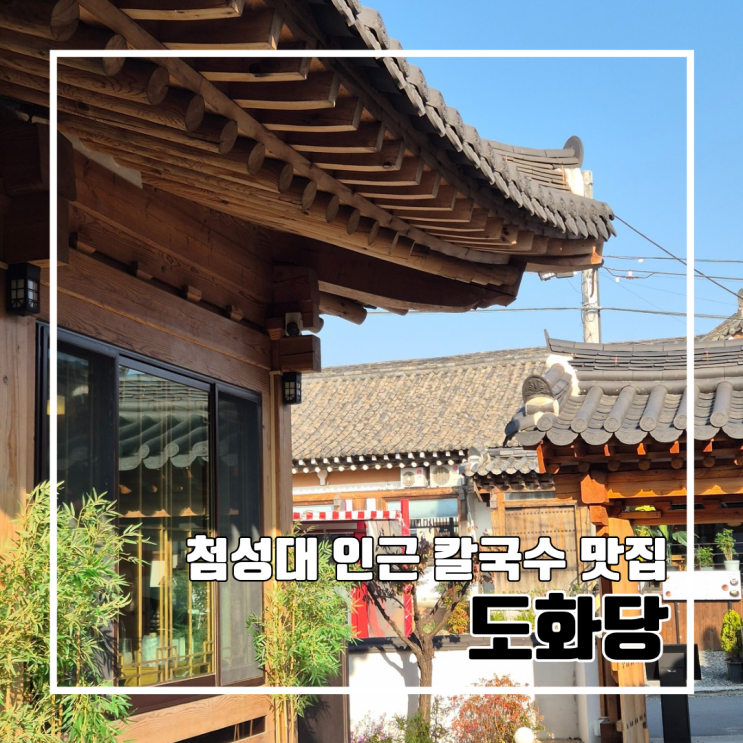  경주 첨성대 맛집 현지인 추천 칼국수 도화당 l 주차 내돈내산