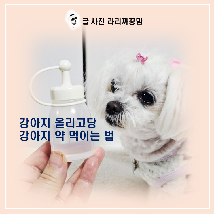  간이나 췌장이 안좋은 강아지에게 올리고당이 안좋다는 말은 사실일까?