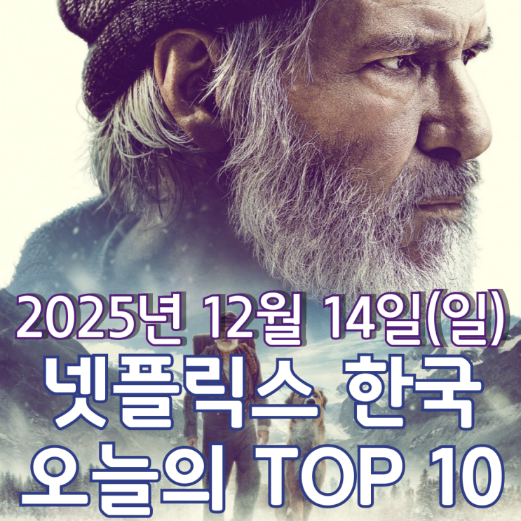  [넷플릭스 한국] 오늘의 TOP 10 - 2025년 12월 14일(일)