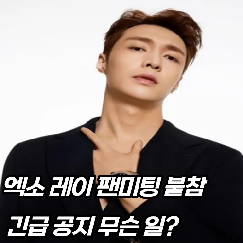 <b>엑소 레이 팬미팅</b> 당일 <b>불참</b> 이유, 12월 14일 긴급 공지 무슨 일?