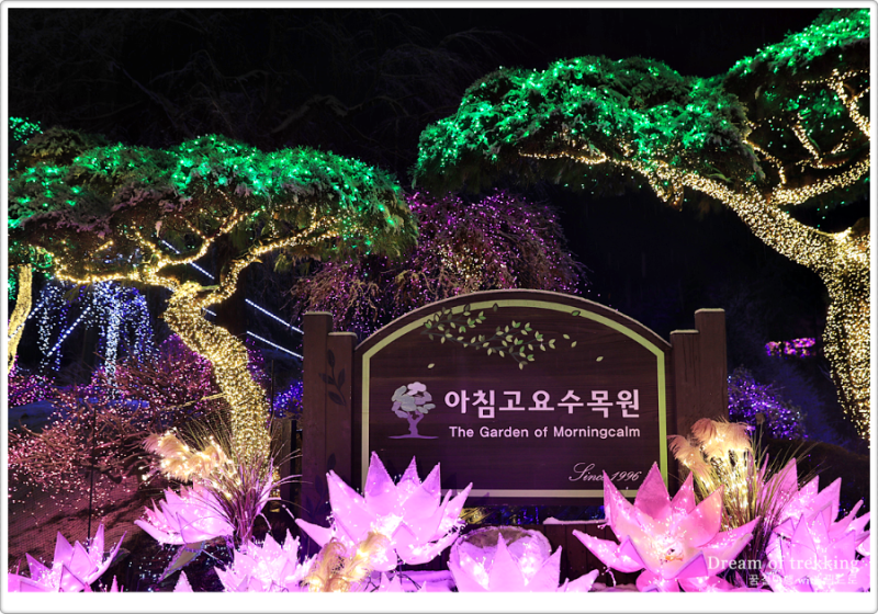 [경기도가평여행] 아침고요수목원 야간개장 오색별빛정원전 입장료 주차정보 서울근교겨울....