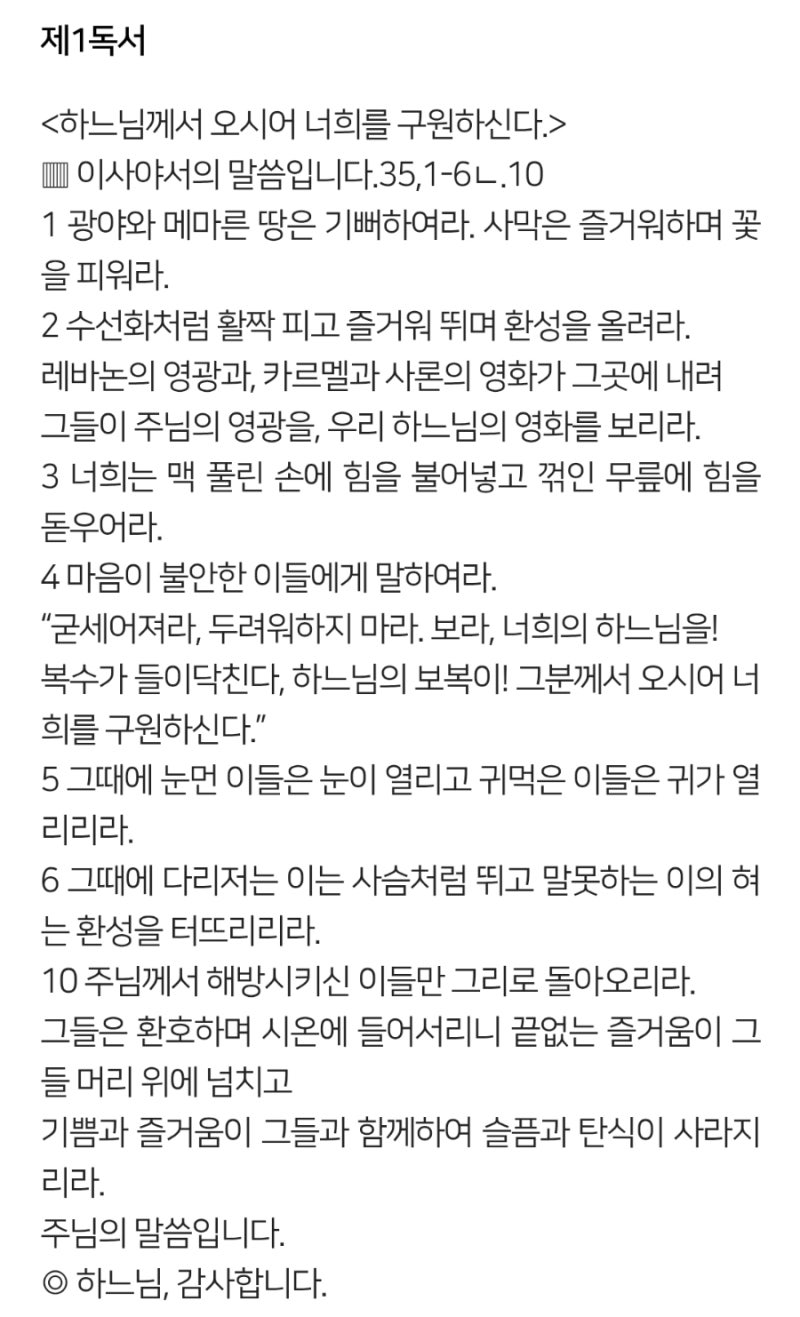 2025. 대림 3주 강론. 단편