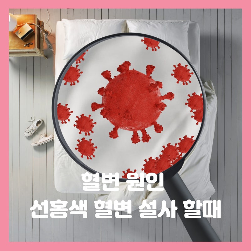 혈변 원인 선홍색 혈변 설사 덩어리 보일때 위험신호일까요?