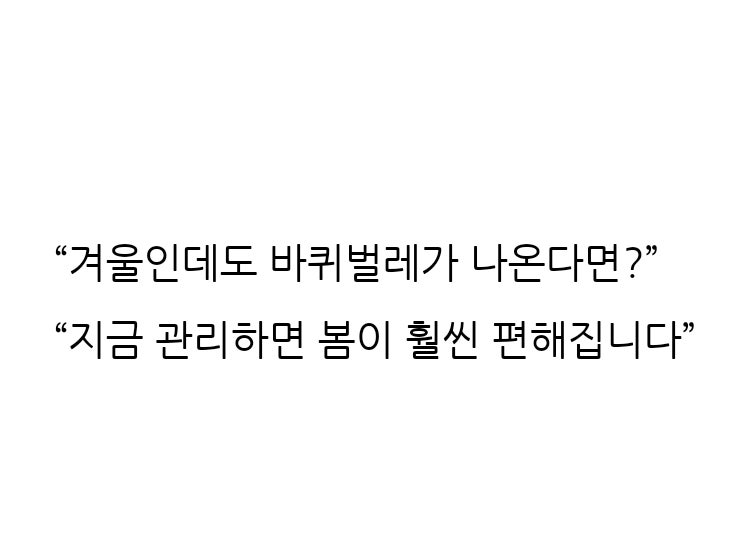 겨울철 바퀴벌레 예방법과 퇴치법 — 겨울에 관리해야 봄에 바퀴벌레가 줄어듭니다