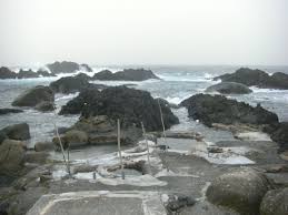  [Japan:Yakushima]야쿠시마 | 원시림과 이끼숲의 섬