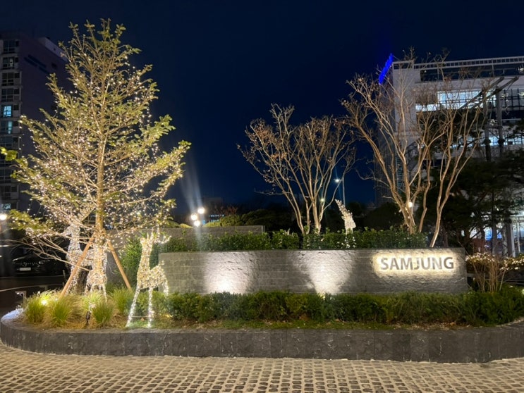 [서울 호텔]내돈내산•강남 가성비 와인뷔페 삼정호텔 마리스(디너메뉴,주차,할인방법)