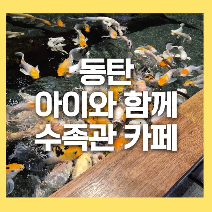  디아쿠아 동탄롯데백화점 아이와 하께 카페 먹이주기 체험까지