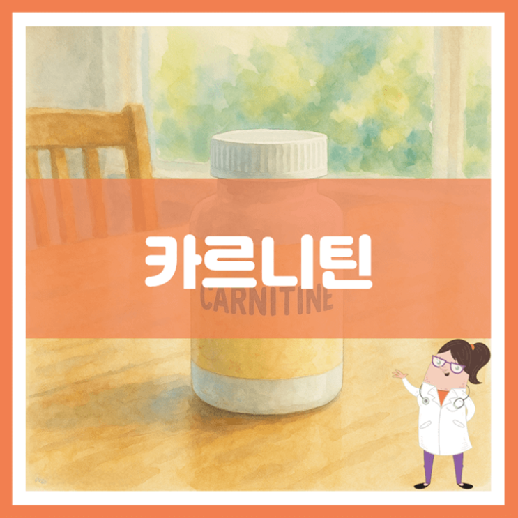 카르니틴 효능 섭취방법 부작용