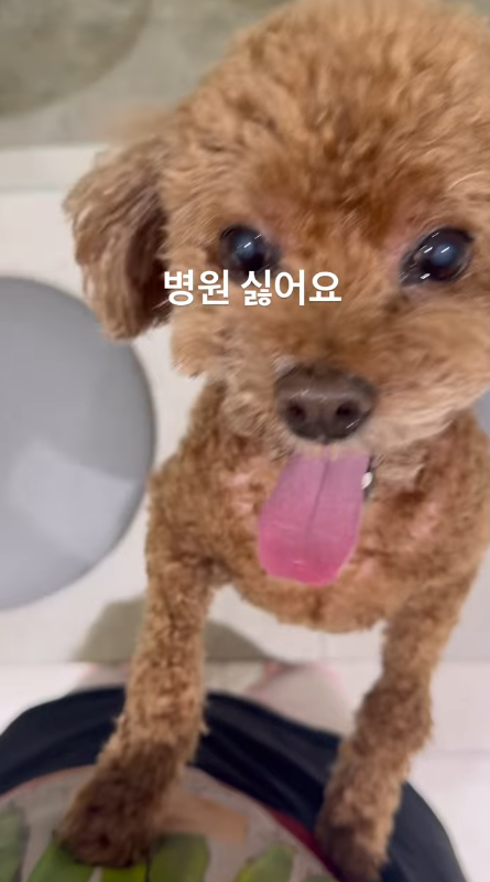 SHINee Key & 'Jusa Imo' Ms. A: Unveiling Details from First Birthday to Luxury Necklace