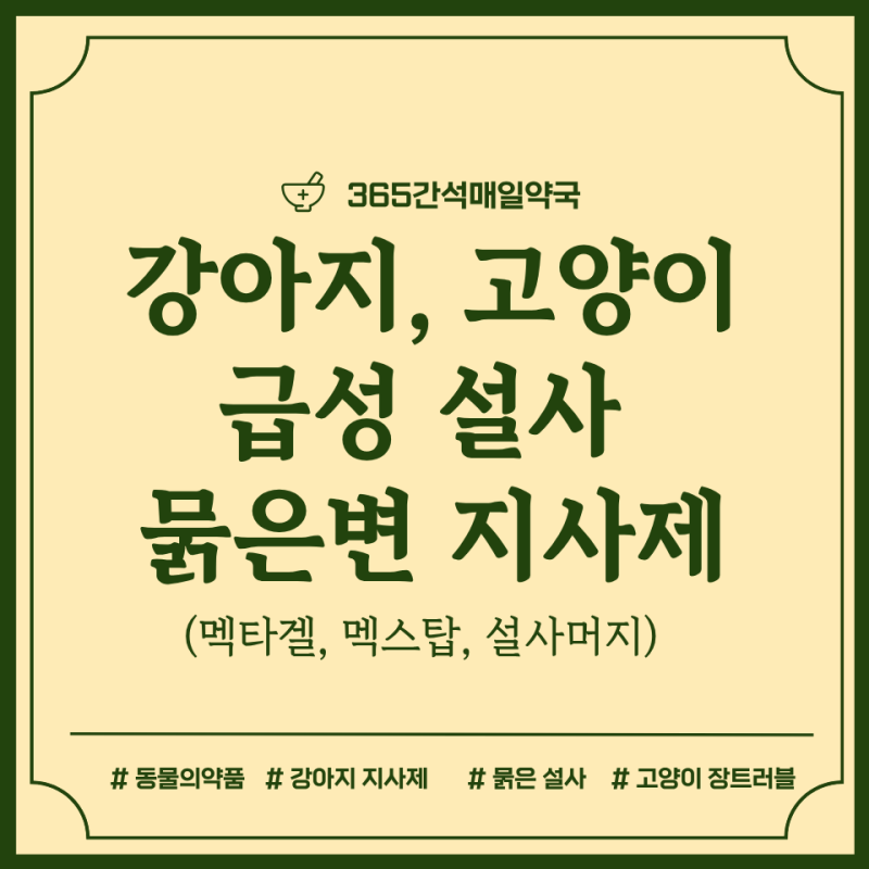 강아지 고양이 설사 지사제, 일요일 문여는 간석역 동물약국